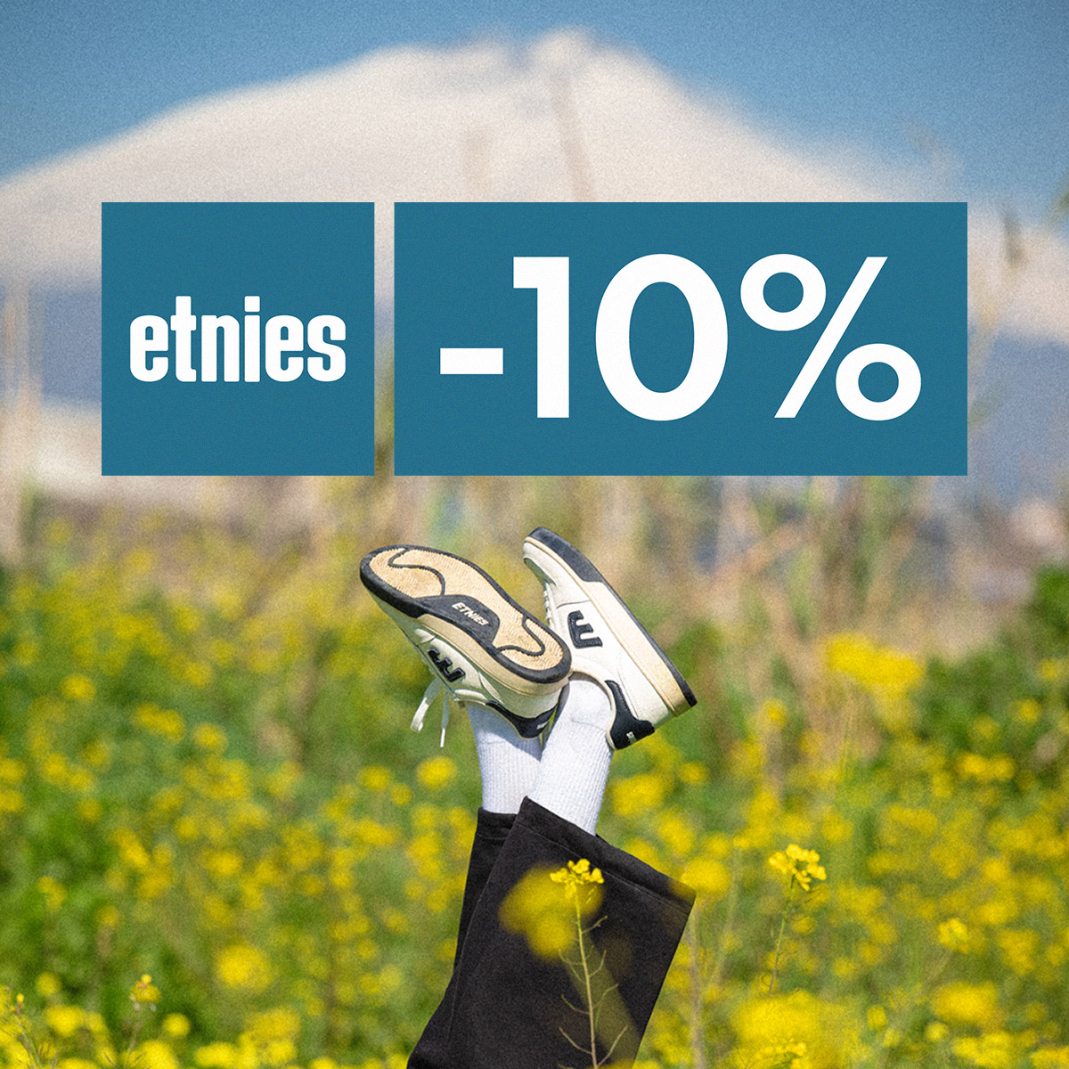 10% kedvezmény az Etnies márkára! Csak vasárnapig!